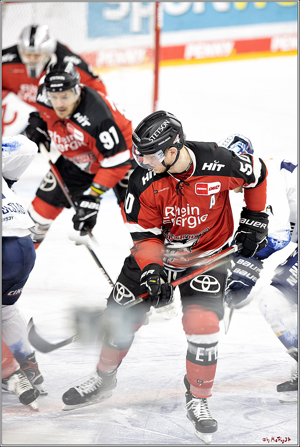 PENNY DEL;  Koelner Haie - ERC Ingolstadt; Koeln, 19.12.2021